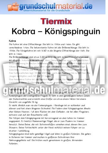 Kobra - Königspinguin.pdf